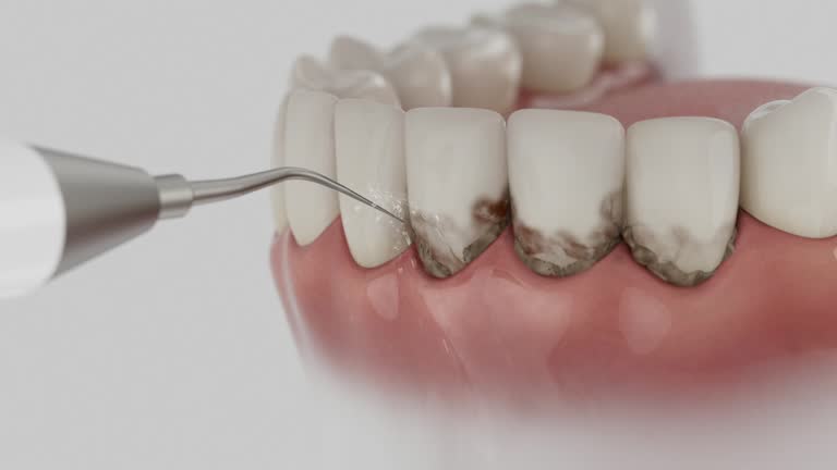 Reliable Dental contractor in Lavallette, NJ by Dentist Open Now